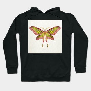 moth Hoodie